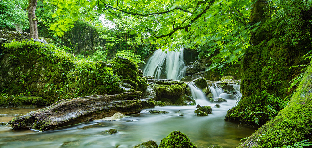 環境ラベリング